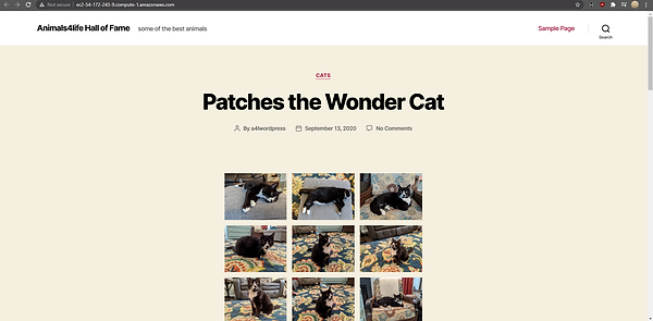 8. 8. Database migrated and public DNS ip4 of the aws instance loads the database from RDS