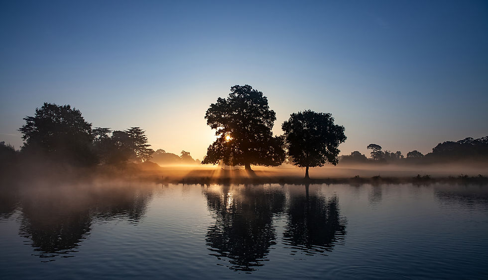 PEACE ON EARTH by Kevin Day