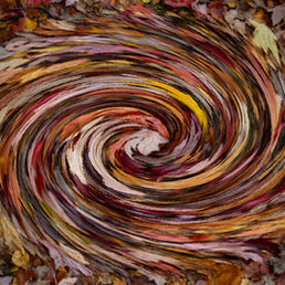 AUTUMN SWIRL by Don Dobson.jpg
