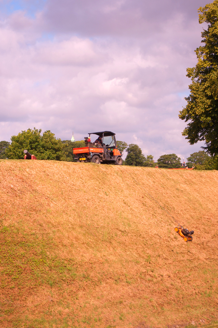 ONE MAN WENT TO MOW by Terry Cork
