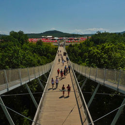 CONSOL ENERGY BRIDGE by Matthew Harrod.jpeg