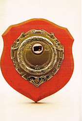 10 Rimmington Shield Best Open image in