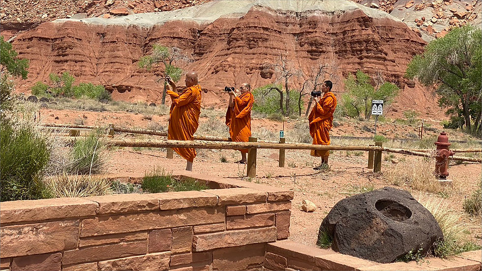 CAPTURING THE KARMA by Andy Smith