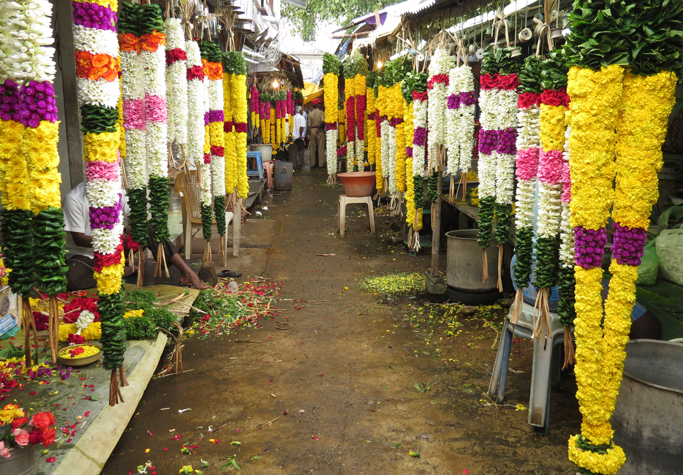GARLAND ALLEY by Sally Botwright.jpg
