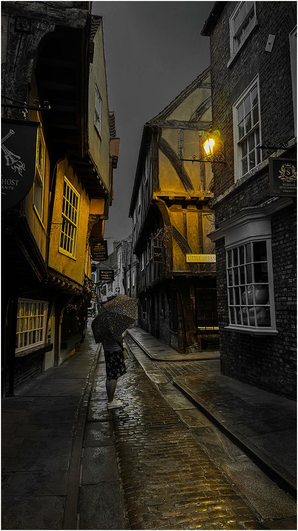 THE SHAMBLES by Paul Mothersill
