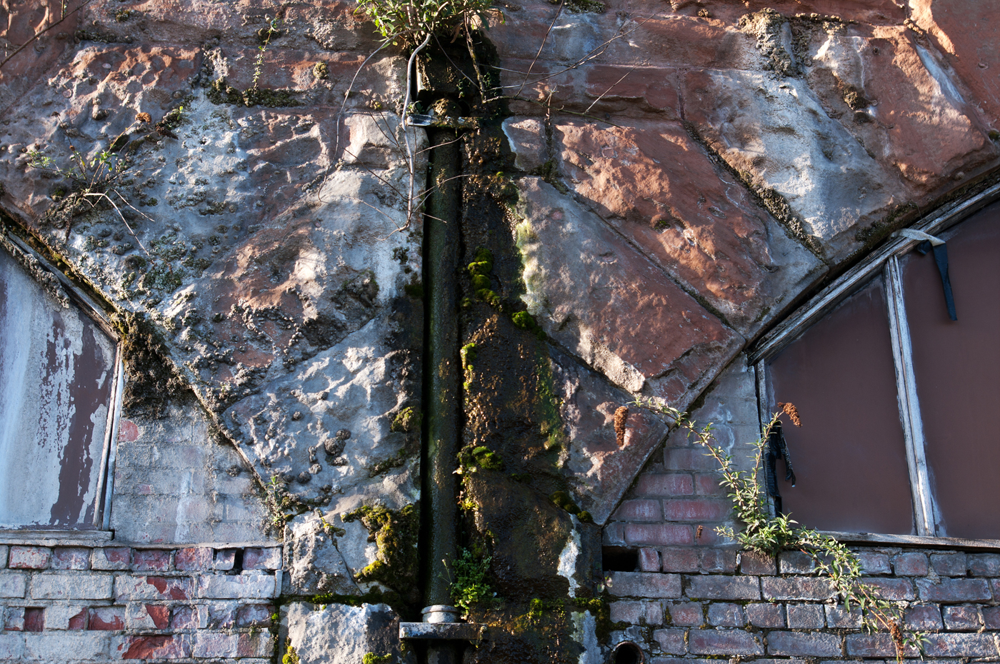URBAN DECAY by terry cork.jpeg