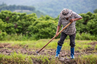 Revenue models for regen farms

