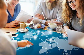 Professional audit services