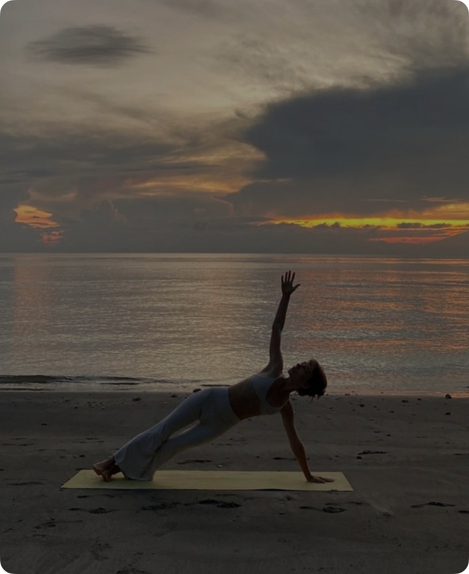 Discover premium wellness products