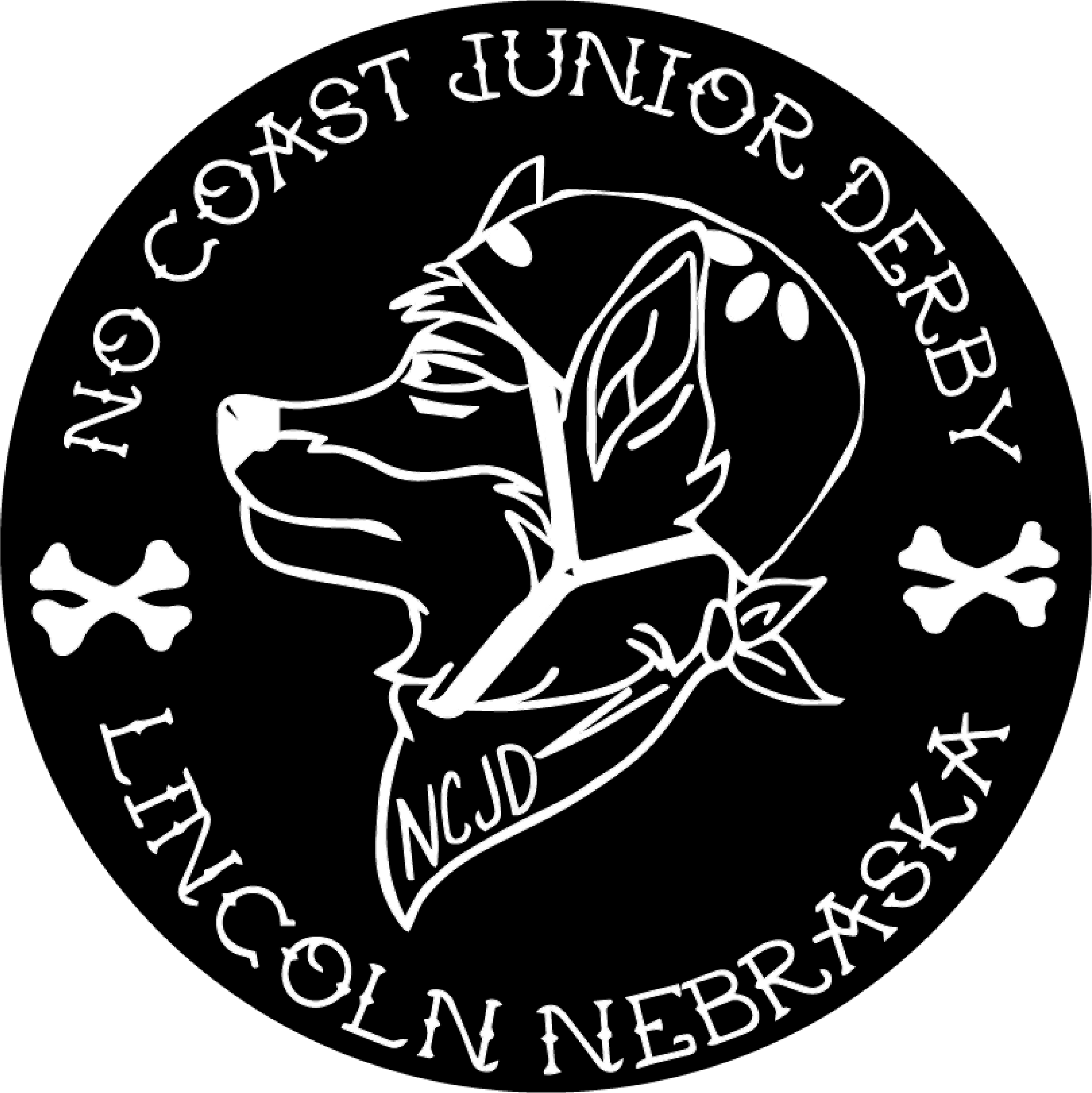 roller-derby-no-coast-junior-derby