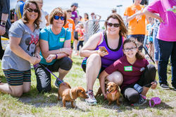 18156531_1506356876073229_8909616502426940985_o