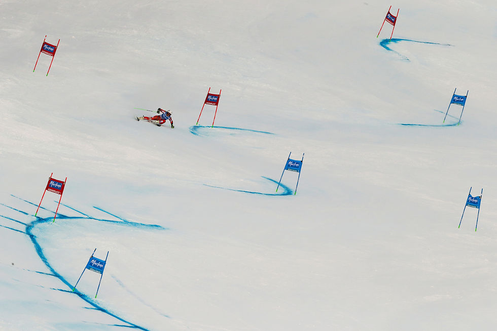 ski gates.jpg