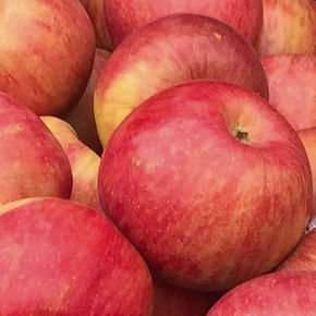 Snacking, baking beverages, freezing, sauces, salads.