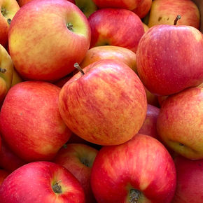 Snacking, salads, juicing, hard cider, apple pie, baking