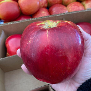 Snacking, charcuterie boards, salads.