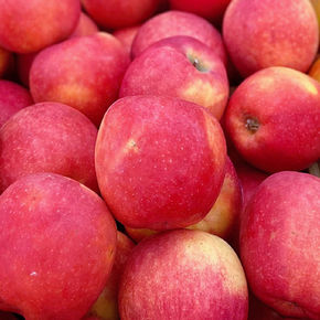 Pies, baking, salads