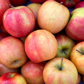 Snacking, baking, salads, beverages, sauces, freezing.