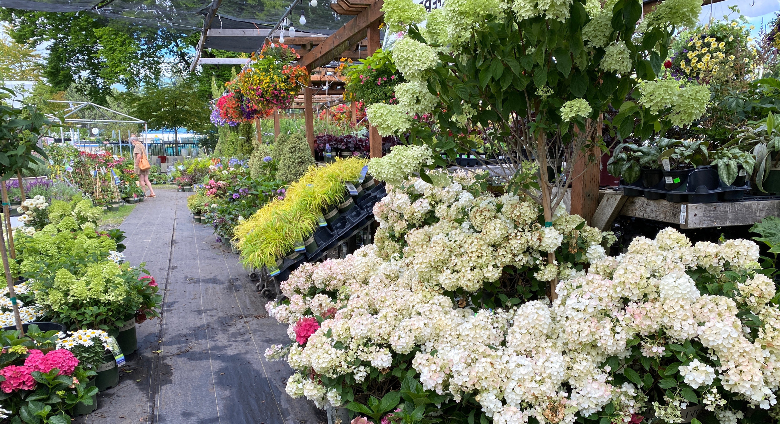 Plant Nurseries Bellevue, WA Newcastle Fruit & Produce Co.