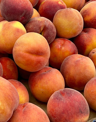 Yellow peaches grown in Yakima, Washington