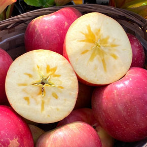 Snacking, baked, cheese board, apple sauce, salads