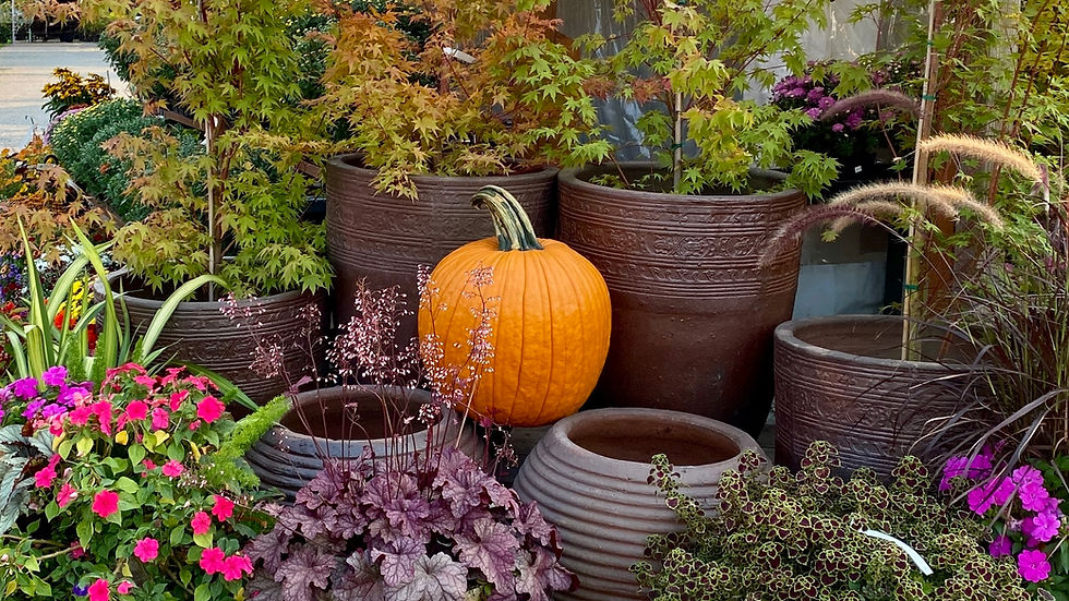 Nursery Entrance September