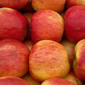 Snacking, baking, salads, sauces.