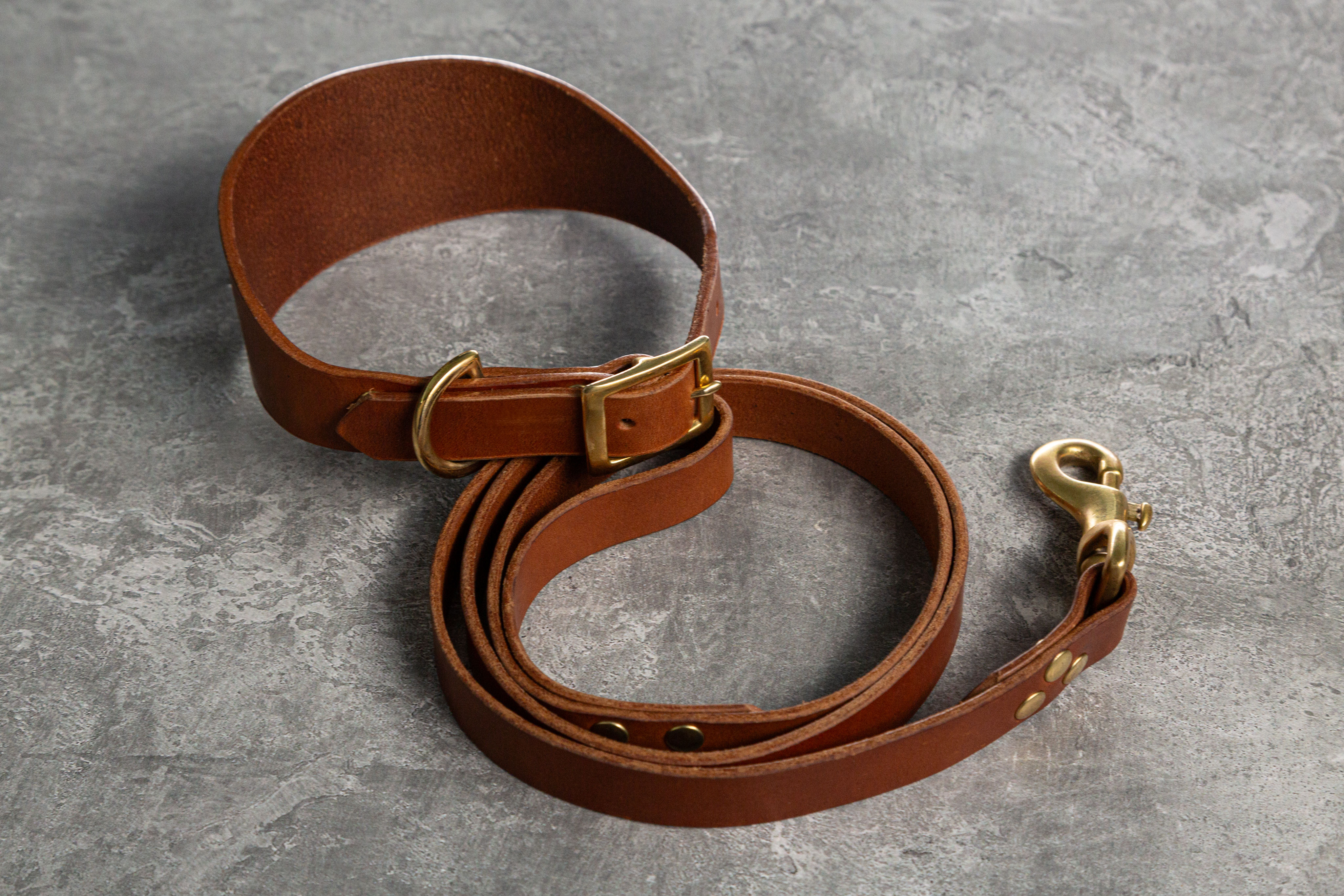 The Wide Ron Dog Collar