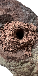 Litstone dust pigment study