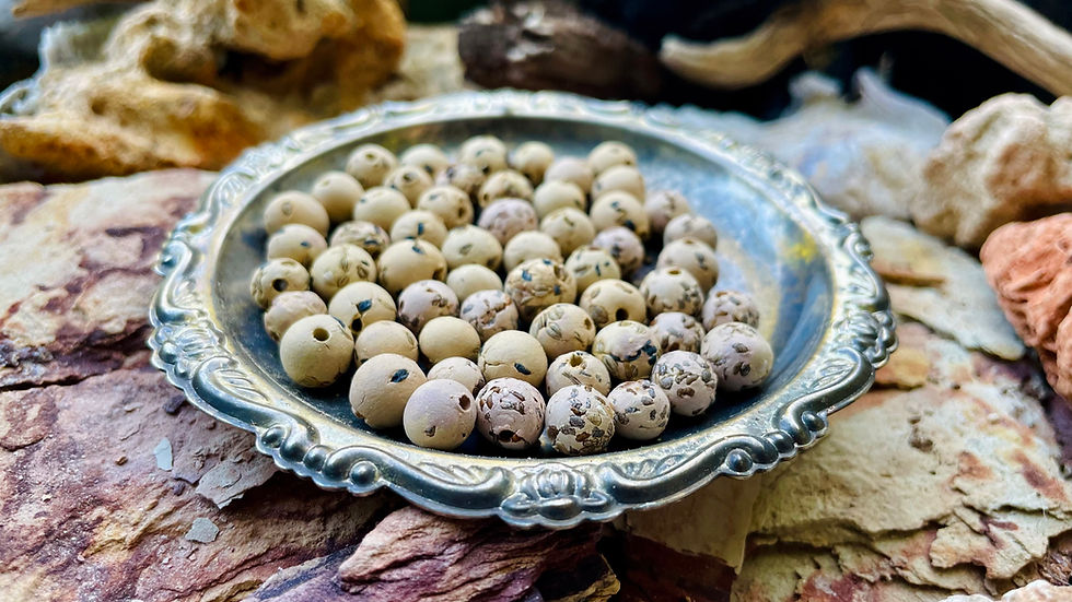 Thumbnail: Clay Seedbomb Jewelry