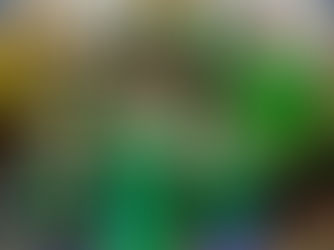 ELVIRA É DESTAQUE NO JEGOV 2026!