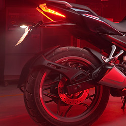 PULSAR 250 x PERFORMANCE FACTORY0_Action_edited.jpg