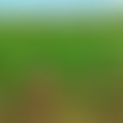 Grow Smart, Sell Smarter: The New Equation for Farm Profitability