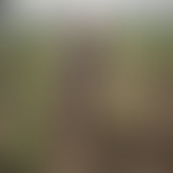 The Hidden Crisis: How Nutritional Deficiency Leads to Poor Productivity and Alcohol Addiction in Farm Labour.