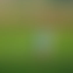 The Proactive Shift: Where Prevention Drives Profits in Farming