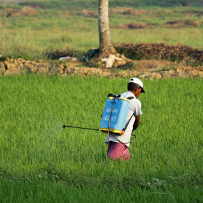 The Proactive Shift: Where Prevention Drives Profits in Farming