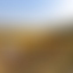 Post-Harvest Management: The Hidden Half of Agriculture—And Where Profitability Truly Lies