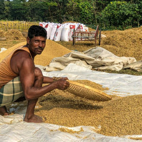 Record Keeping: The Silent Engine of Farm Profitability