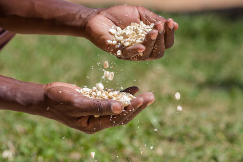Climate Change impact on Agriculture