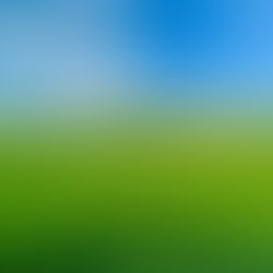 Embracing the Future: Automation in Agriculture with Artificial Intelligence