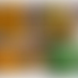 The Royal Delight: Unraveling the Majesty of Bensihan/Banginapalli Mango