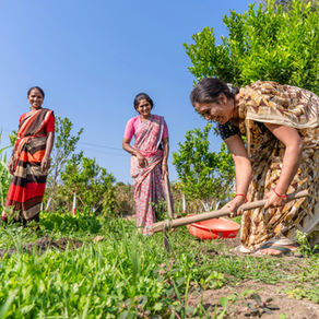 From Insight to Impact: How Farmer Exposure Visits Drive Profitability
