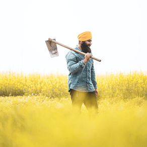 Ensuring Farmers Prosperity through Strengthening Agricultural Value Chains