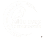 Logo CAO Monocromático - Branco.PNG