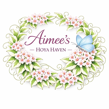 image0 (7).png