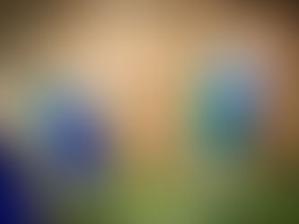 Bc Wolves goes to BNI Cup Semi Final