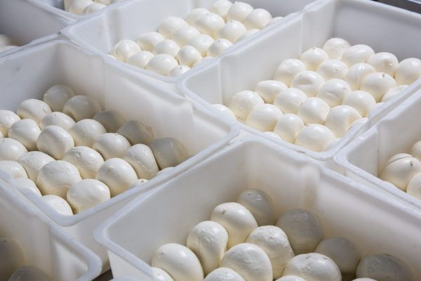 Miniature : Boules de Mozzarella di Bufala Campana DOP