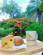 Hacieda San Gabriel.jpg