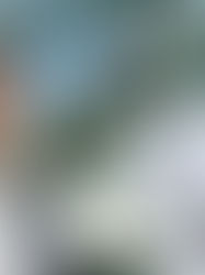 週末の佐竹選手(教授退任パーティーと1500mレース応援編)