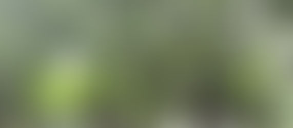 週末の佐竹選手