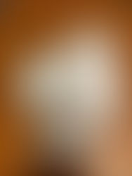 今年もよろしくお願いします。